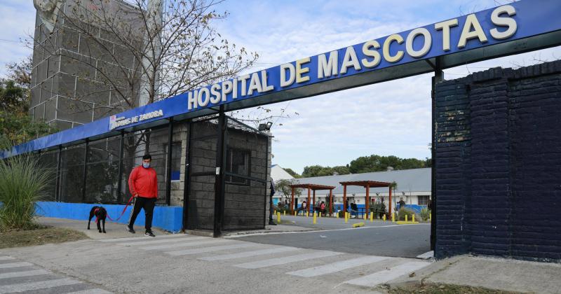 HOSPITAL DE MASCOTAS: DAN TURNOS PARA CASTRACIONES